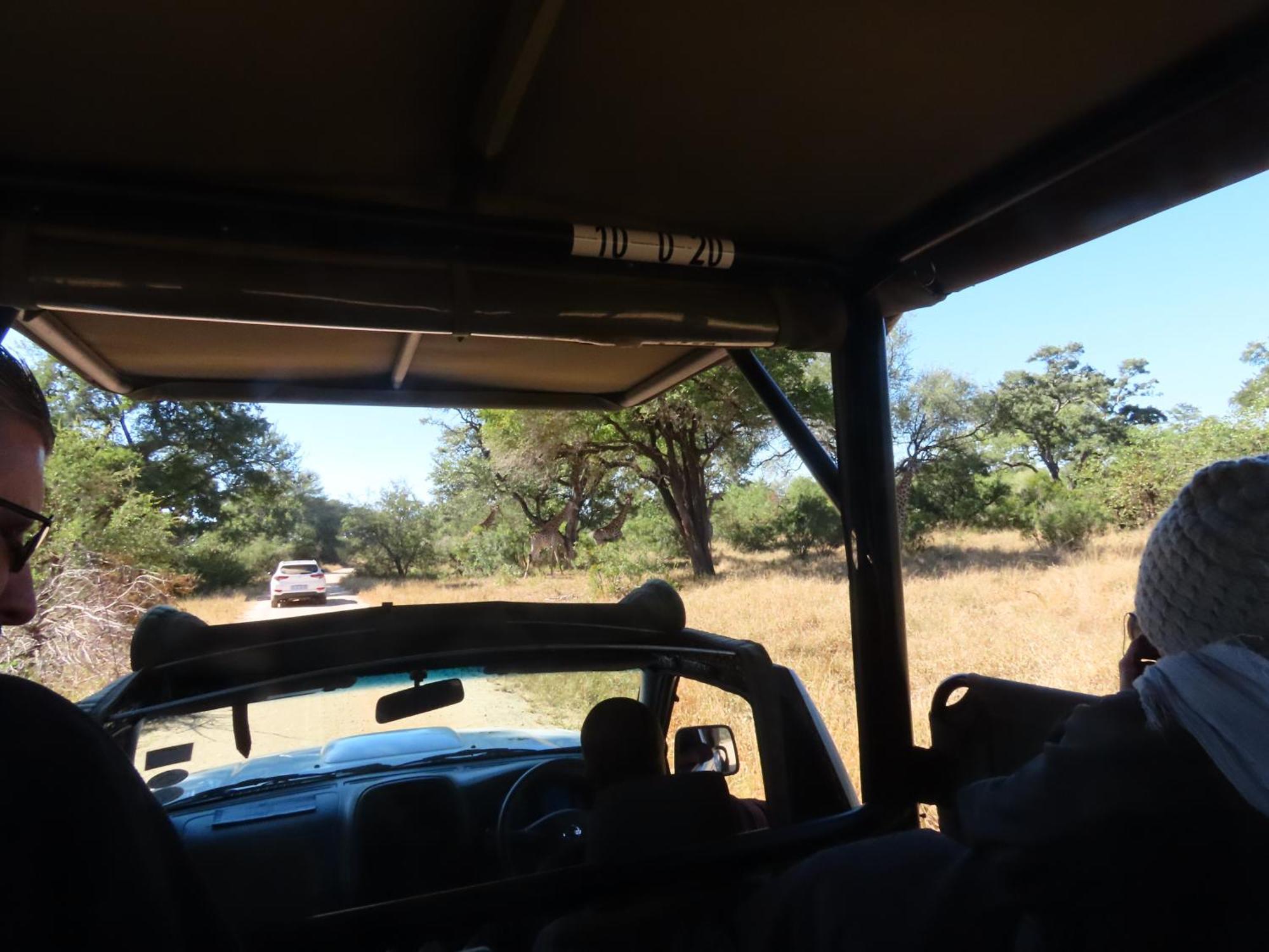 Sunset & Safaris Lodge *